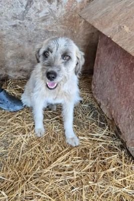 657203846 26408731455434098 2212641522452707365 n