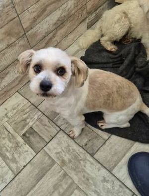 657232298 26409789261994984 7804109086454194937 n