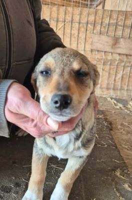 657325582 26376167565357154 3152426477286987720 n