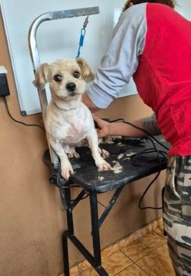 657352665 26409788775328366 2118382860224949346 n