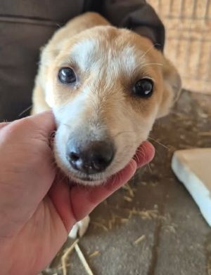 657356836 26376000212040556 8253656107189978977 n