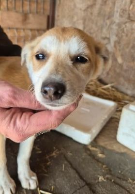 657368753 26376000442040533 5428160571240373081 n