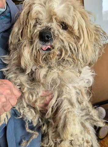 657378143 26409904735316770 1384887932210630011 n