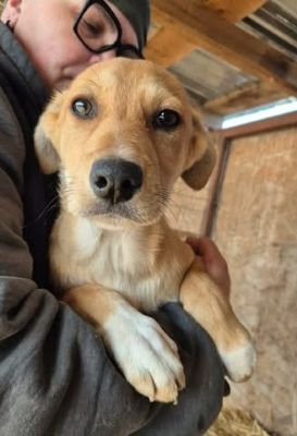 657384578 26376281685345742 9199908237187633350 n