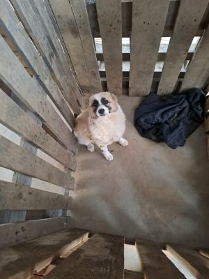 657575912 26408839895423254 2842905336638534030 n