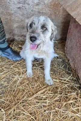 657614176 26408731775434066 3520150468340749182 n