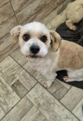 657771312 26409789341994976 846979100823916485 n