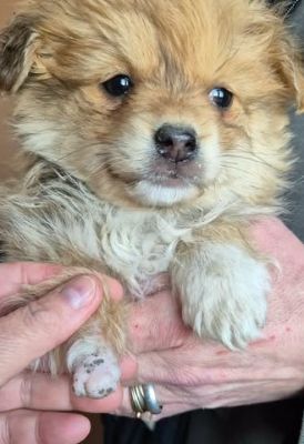 657948015 26397677613206149 2877314328311429516 n