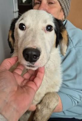 658015925 26409585632015347 4600830906421445498 n