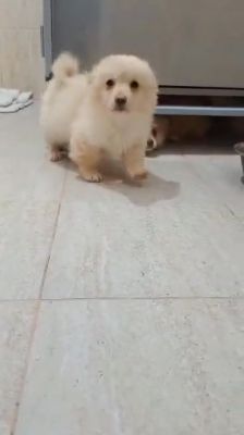 658059962 1264879618418990 2267658842616209170 n