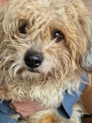 658061352 26409788791995031 907018953482799723 n