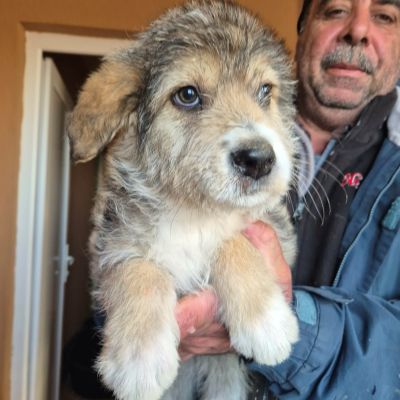 658140869 933763946302594 8385015642662129014 n