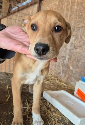 658150996 26376256428681601 4082953383535617221 n