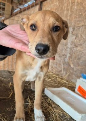 658153915 26376256318681612 6863019981851379622 n