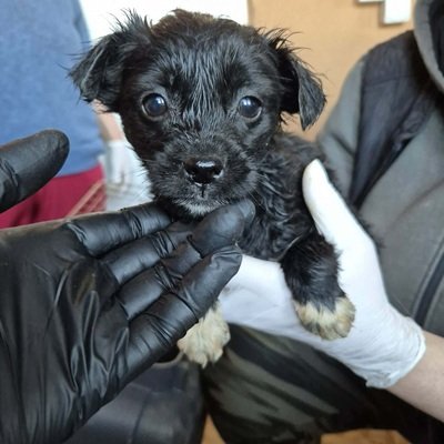 658165021 2451348445345784 2331982759623557146 n