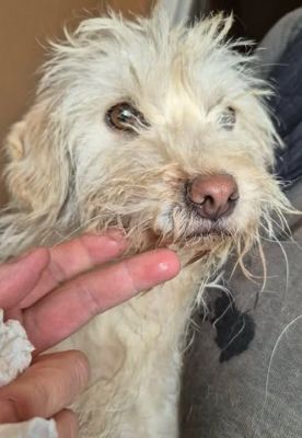 658225284 26408922958748281 8175412014265232373 n