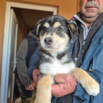 658243252 939453625633833 4480042192740340806 n