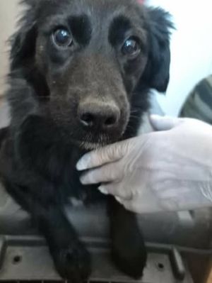 658273842 26353368357637075 8150476419636316713 n