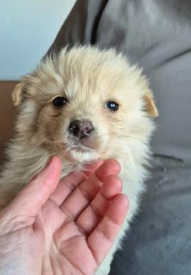 658875232 26397797319860845 6809847346816089471 n