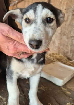 658958266 26376208662019711 6418793396200413471 n