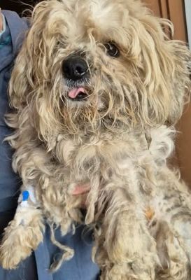 659058891 26409904945316749 5570314978993358781 n