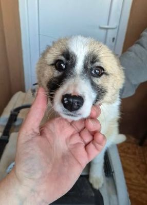 659065126 26408839828756594 2378058259529739430 n