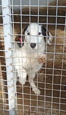 659079831 26409585378682039 2742127438305201615 n