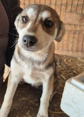 659094930 26376108195363091 3073324407605080525 n