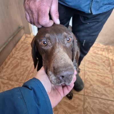 659712516 1608989853742915 8687891726074012806 n