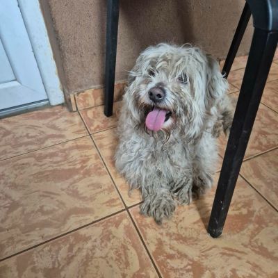 659757649 1929278231029018 4613567311231196463 n