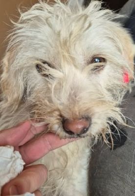 659790434 26408924168748160 7500904653319018917 n