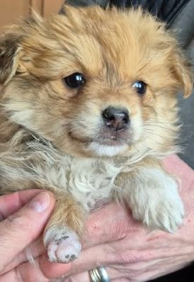 660085751 26397677396539504 9119093200010580815 n