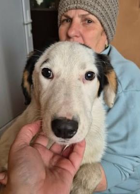 660131870 26409585145348729 208522360142401933 n