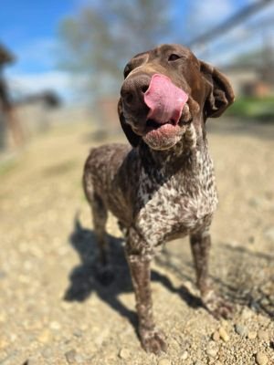 660139308 1273832957569259 7425480362059460895 n