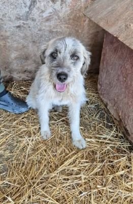 660455604 26408731542100756 1832945939570794740 n