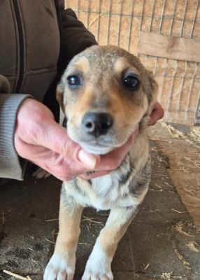 660468167 26376167985357112 7600095501989964660 n