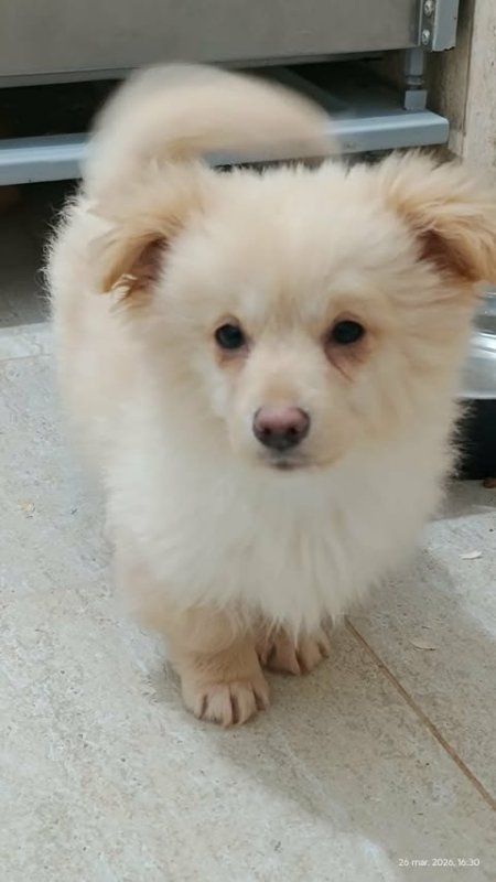 660535909 26397797343194176 4001321199134235500 n