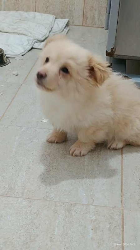 660552296 26397798609860716 1081288000854762838 n