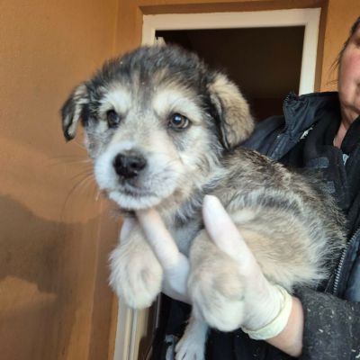 661595828 2316009388921522 59204190837384467 n