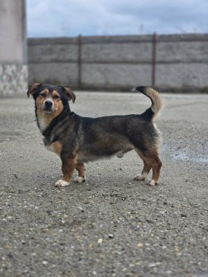 662443377 26398665313118712 8370676134508828739 n