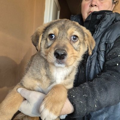 662646625 4276678889238153 5393360846180040837 n