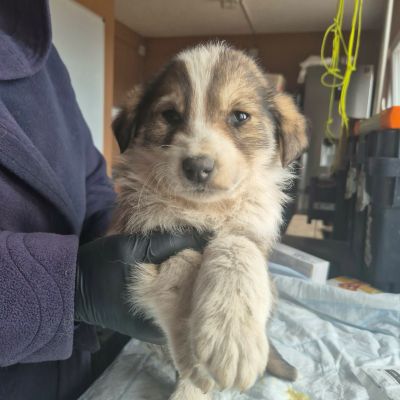 662880739 1856778058316939 1756642742562125965 n