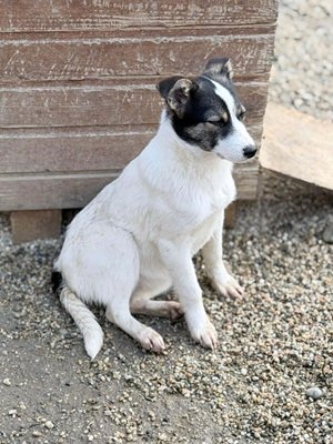 663160865 1261803532601038 1766108512884094933 n