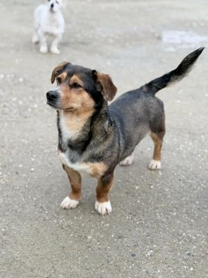 663411647 1487236762793931 5737350669608697957 n