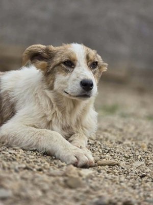 663804575 2415115245576436 1112602573964256261 n