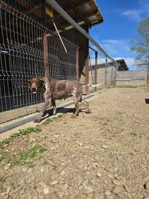 663925026 2504858533265206 1235146435107804207 n