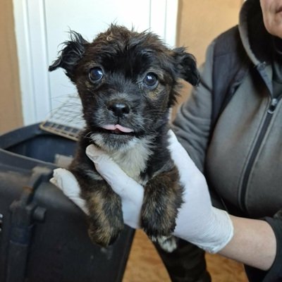 664181279 1266771642276257 7846572025445578750 n