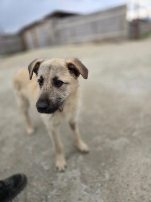 664276465 2098741750682514 7838221763589260585 n