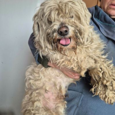 664391825 1313034990688136 4032844935295065181 n