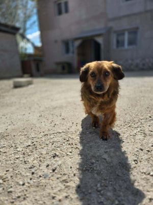 664445721 1657168148650038 4092995684469239029 n